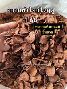 หมากแห้ง หมากจากสวน 500กรัม ครึ่งโล หมากสดตากแดด หมากแปดริ้ว หมากฝาด หมากคนเคี้ยว