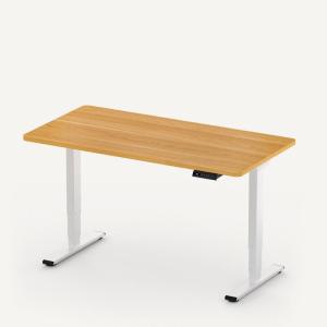 FlexiSpot E5 Standard Standing Desk: A Comprehensive Guide