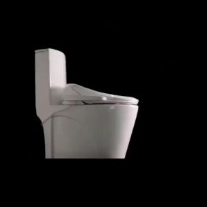 Smart Toilet Bidet Seat Toilet Seat Cover Toilet Bidet Spray Smart Toilet Bidet Seat Dropshipping UV Nozzle Mobile Cleaning 马桶盖