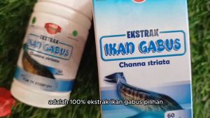 Kapsul Ekstrak Ikan Gabus Kutuk Albumin Ath-Thoifah 30 Kapsul Izin BPOM Asli Murah