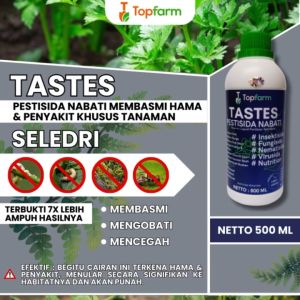 Obat Hama Tanaman Seledri / Obat Daun Untuk Saledri / Obat Tanaman Seledri / Obat Khusus Daun Seledri / Obat Penyubur Tanaman Seledri / Obat Hama Seledri