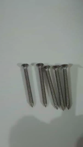 Stainless Steel Big Screws (Fence Accessories)