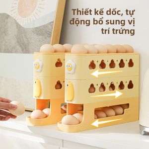 ZIYINGCHA | Rolling Ramp Egg Storage Organizer