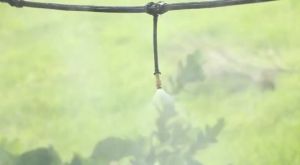 10 ปริมาณ S 4/7 สปริงเกลอร์รดน้ำ สมัครปรับการเกษตร สุขภาพแบบ พกพา สำหรับสนามหญ้า รูปแบบ 4/7 พื้นฐาน รวมถุงสเปรย์หัวฉีด แบบหมอก