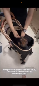 Lightweight Foldable Pet Stroller for Small Dogs Medium to Large Breeds Cats and Outdoor Pet Travel 3 in1comfortable