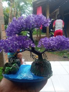 bonsai aquascape tinggi 20cm