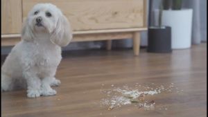 DWELLOGI | Super Slim & Space Saving Flat Mop 360 Spin Hands Free Cleaning