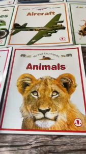 JOYL 10in1 Mini Encyclopedia