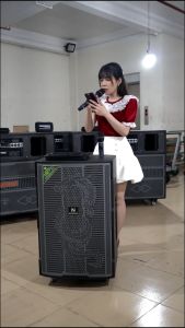 Loa Kéo Nanomax GT-2024 Bass 50cm Công Suất 820w/max Karaoke Bluetooth