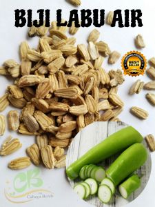 Benih labu air isi (30 biji) bibit kukuk bibit labu air