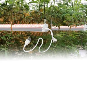 ไฟ LED ปลูกพืชสเปกตรัมเต็มของ Under Canopy โคมไฟพืชบนพื้น 120W ไฟเสริมแสงสำหรับพืช ติดไฟใต้ต้นไม้