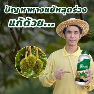 อะมิโนโปรตีน แรปเตอร์ อมิเตอร์ 18 ชนิด ปู บำรุงต้น ต่อผิว เพื่อลดการเข้าทำลาย และแมลงศัตรู ปลอดภัยต่อคนใช้ 100%