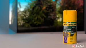 Thức ăn cá JBL ProNovo Spirulina Grano tảo xoắn dinh dưỡng tăng màu cá tép cảnh
