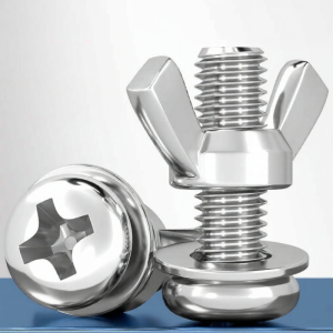 ZHANGRONGTU | 304 Stainless Steel Butterfly Shaped Screw Head Screws