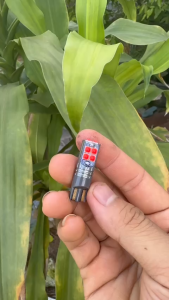 Bóng cắm cao cấp dùng 12v 24v cho xe ô tô siêu led sáng bóng đèn nóc đèn hậu đèn biển số led màu