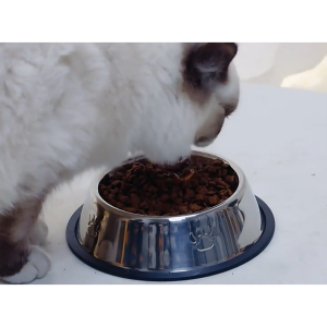 Chén bát đựng thức ăn cho chó mèo chất liệu inox không rỉ chống lật bát cho chó mèo-HAUSE