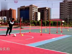 SPEEDS STICK BASE ORIGINAL IMPORT LATIHAN AGILITY DAN KELINCAHAN INTERNATIONAL 037-7