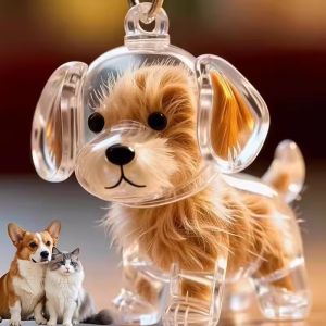 4Pcs Dog Hair Storage Pendant Keychain Transparent Pet Fur Keepsake Capsule DIY Decoration Memorial Gifts for Pet Lovers Home Display