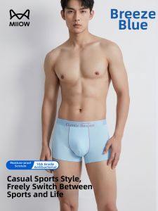 MiiOW | Seamless Ice Silk Boxer Shorts Male Youth Adult