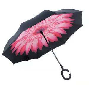 MOLORE | Reverse Umbrella Standable C-Type Double Person Business Sun Rain Umbrella