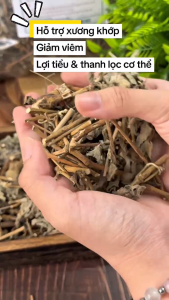 Cây Cỏ Xước Thảo Dược Đức Thiện (Khô Sạch Thơm) - Hỗ Trợ Giảm Nhức Khớp Hạn Chế Sỏi Thận Lợi Tiểu