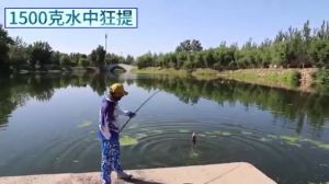 Tegeg Pancing Ringan Tegek Kaku Pancing Karbon Carbon 5 Meter Blood Kirin Fishing Rod