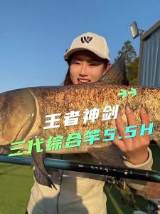 woding | Lightweight Hard Multi-Purpose Fishing Rod