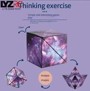 LYZRC 3D Three-dimensional Geometric Variable Magnetic Rubiks Cube Magnetic Suction Variety Decompression Childrens Thinking Trainer Toy