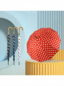 MOLORE | Automatic Straight Umbrella 12 Ribs