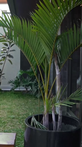 TERMURAH GAMIS SARIMBIT ETHICA LADIVA GREEN BISTRO TERBARU KEKINIAN SPESIAL LEBARAN 2026 KONDANGAN