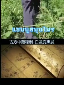 Organic รากผมเป็นสีดํา ชุด 2 ขวด สุดคุ้ม แชมพูสมุนไพร 300ml ชุดของแชมพู และเหอโส่วอู