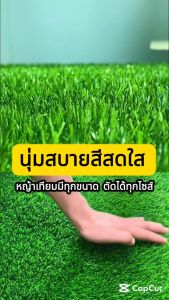 EAGOCRAFT หญ้าเทียมปูพื้น ปูโต๊ะ  แต่งพื้นระเบียงสร้างสวนเทียมตกแต่งสวยงามโดดเด่น นุ่มนิ่ม ไม่ทิ่มมือ หญ้าแผ่นปูพื้น หญ้าแผ่นตกแต่งสวน หญ้าเทียมปูพื้น