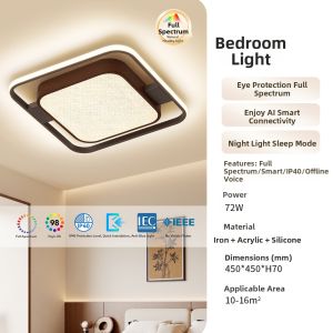 NVC | High Brightness Ancient Style Bedroom Ceiling Light