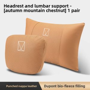 TUSHUGUANG | Protective Neck Pillow & Lumbar Support Set for AVATR 07