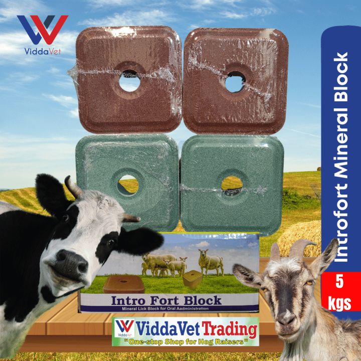 Intro Fort Block Mineral Block 5kgs Holland for Cattle Sheep Goat ...