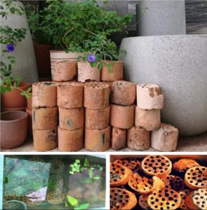 1Kg Xỉ Than Siêu Lọc Nước - Nuôi Vi Sinh - Trồng Cây - Đã Ngâm Nuớc