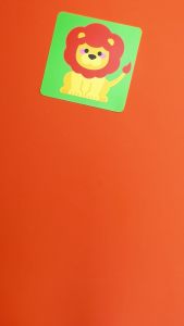 BEAR TALE Double-Sided Color Visual Stimulation Cards Color enlightenment 20 cards