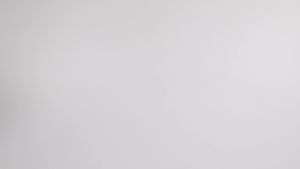 One Two Cups French Press Coffee Maker Pot Gagang Kayu 350 ml