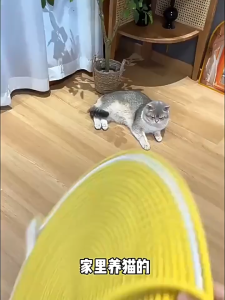 Cat Scratching Pad Hand Woven Mat With Balls Anti Scratch Claw Grinding Wear Resistant Sleeping Mat Tikar Kucing