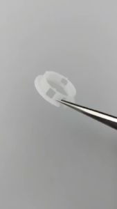 Vòng Đệm Giữ Chuyển Động Bằng Nhựa 26mm/31mm Nắp Trong Dành Cho Vỏ Đồng Hồ BLIGER Phụ Kiện Đồng Hồ Nữ Đã Được Cải Tiến