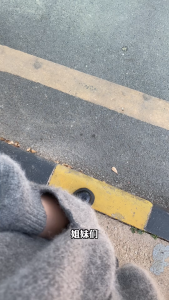 🇲🇾 UV Roast Duck Pendant Color Changing Under Sun Duck Keychain Car Rearview Mirror Pendant Roast Duck Decor Charm