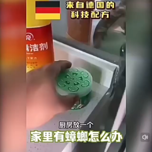 OHHDEER 120g Cockroach Repellent Beads Natural Safe Use Family & Pets Friendly 90 Days Protection