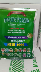 FORTUNE 1KG Obat Rontok Buah Tomat – Pupuk Perangsang Buah Obat Gugur Buah Nutrisi Tanaman Tomat Solusi Buah Rontok Pupuk Tomat Penguat Buah Obat Rontok Bunga & Buah Tomat Paling Ampuh Terlaris