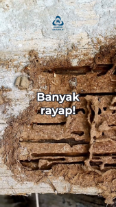Spray Anti Rayap KZ 50 ml Original Formula Khusus Basmi Rayap Koloni Hingga Ratu - Pengendali Rayap Ampuh Praktis