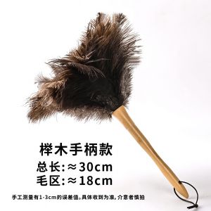 Non-Static Dust Removal Feather Duster for Home Use Ostrich Feather round Head Broomstick Household Floor Cleaning Tool