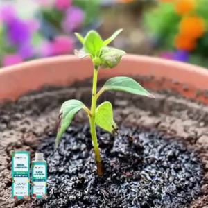Moonspry Soil Conditioner Nutrient Balance Plant Growth Enhancer Multi Scene for Indoor Garden Vegetable Lawn Organic Fertilizer