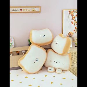 QIAOSHANG | Soft Toasty Cat Pillow