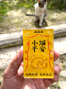 Creative Acrylic Cat Dog Lucky Charm Fridge Magnet Cute Cartoon Design Rabbit Small Object Personalized Magnetic Attraction