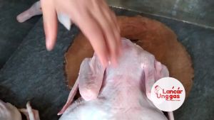 Bebek Lokal Bebek Kampung Daging Bebek 15 Up Utuh Satu Ekor