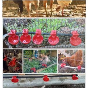 Automatic Chicken Water Cup Waterer Bowl Kit Farm Coop Poultry Waterer Drinking Water Feeder for Chicks Duck Goose Turkey Quail